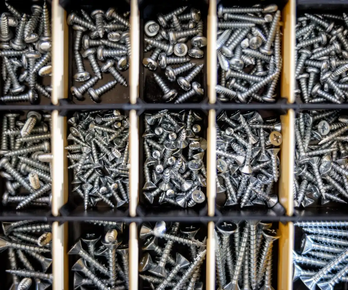 Compartments of a tray filled with silver wood screws