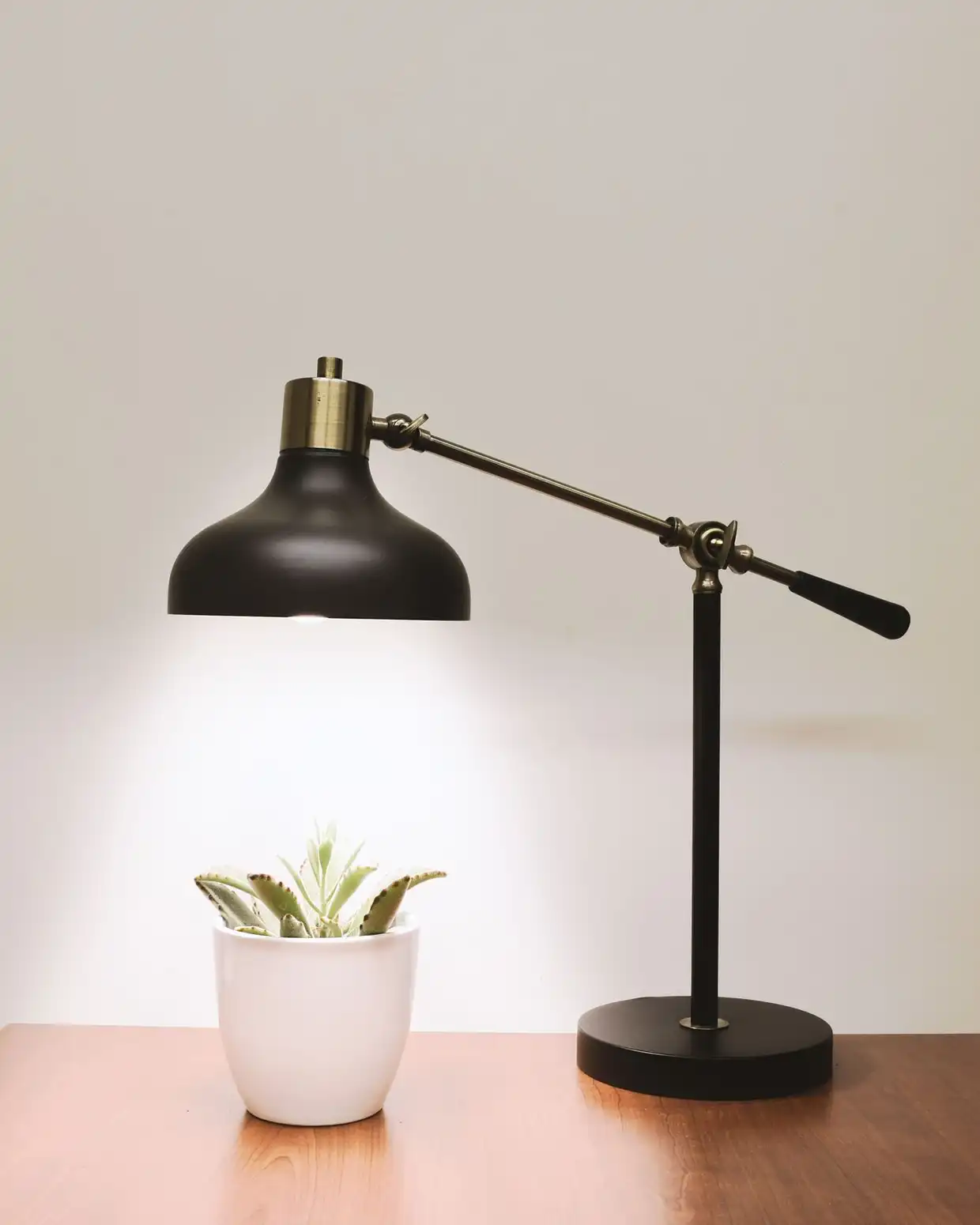 A graphite desk lamp with a domed shade, brass knuckle and counterweighted arm, lighting a small succulent on a wooden desk