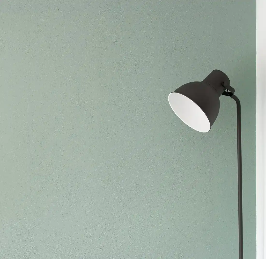 A black floor lamp with a round shade against a sage green wall